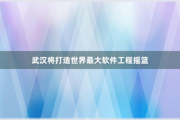 武汉将打造世界最大软件工程摇篮