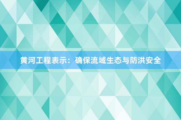 黄河工程表示：确保流域生态与防洪安全
