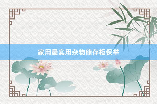 家用最实用杂物储存柜保举