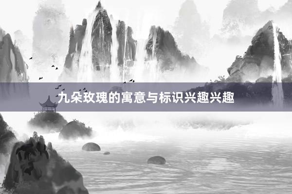 九朵玫瑰的寓意与标识兴趣兴趣